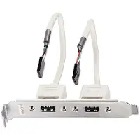 Lindy Câble USB interne/externe avec slotbracket (0.20 m, USB 2.0)