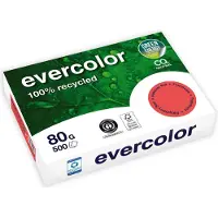 Clairefontaine Farbiges Kopierpapier EVERCOLOR, DIN A4, 80 g/m², hellchamoisgelb, 1 Paket = 500 Blatt