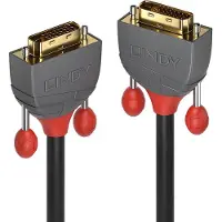 Lindy Dual Link 1 M Dvi Cable Doré