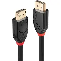 Lindy 901517779 15 M Displayport Cable Argenté