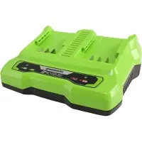 Greenworks Chargeur 24 V, 2 A, double emplacement G24X2UC2 - 2931907 - Chargeur - - Vert - CA - Lithium-ion (Li-Ion) - 24 V