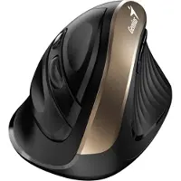Genius Souris Ergo « NX-8250S », pour PC ou NB, sans fil, 2,4 GHz, optique, 1600 dpi, 5 boutons/1 molette, dorée