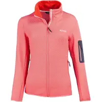 Regatta Veste de randonnée femme Aldean
