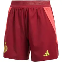 Adidas Pantalon de sport 'Germany 25 Away Authentic' or / rouge / rouge foncé