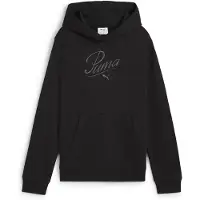 Puma Hoodie Essentials Script Enfant Et Adolescent, Vêtements, Noir, 9-10y