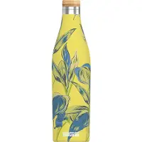 SIGG Bouteille Isotherme Meridian Sumatra 500ml