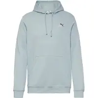 Puma Hoodie À Logo N° 1 Bicolore Essentials Homme, Vêtements, Modern Mint, L