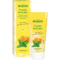 Bergland-Pharma & Co. KG Propolis Pommade active 30 ml Pommade(S)