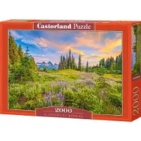 Castorland Puzzle 2000 pièces Fleurs du matin 200863