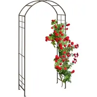 Relaxdays Arc de roses (41 cm, 110 cm)