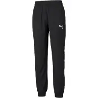 Puma Pantalon de sport 'Active' | Lxregular | male