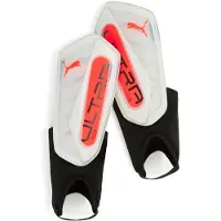 Puma L