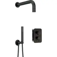 Deante Concealed Shower Set With Mixer Box With Hand Shower Bxyznqsm Argenté