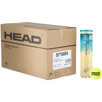 Head Balles de Tennis 4B PRO