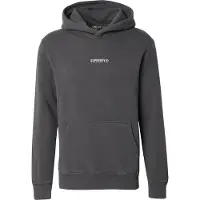 Superdry pour homme. M2014031A Sweat à capuche avec micro logo gris (M), Casuel, Coton