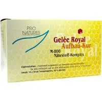 Imopharm Pharmazeutische Handelsgesellschaft mbH Ampoules de gelée royale Pro Natura, 14 ampoules