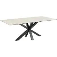 Ebuy24 Heaven table de salle à manger 100x200cm gris.