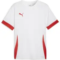 Puma T-Shirt fonctionnel 'TeamGoal Matchday' rouge / blanc