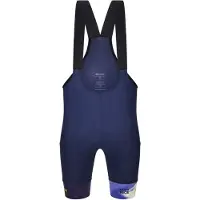 Santini Paris-nice 2025 Bib Shorts Bleu L Homme