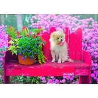 Bluebird Puzzle Puppy in the Colorful Garden