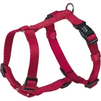 Nobby Harnais Classic (L, XL, Chien, Général)
