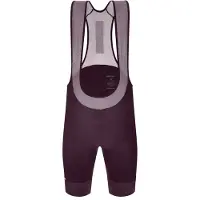 Santini Karma Delta Bib Shorts Violet 2XL Homme