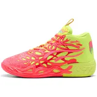 Puma Chaussures 31053201