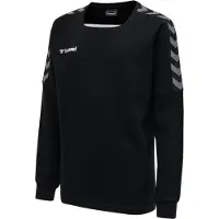 Hummel Sweat de sport 'Authentic' | 116 | boy