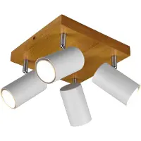 TRIO Spot Marley 4 lumières