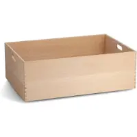 Zeller Present Boîte multi-usages (40 cm, 42.40 l, 1x)