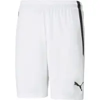 Puma Pantalon de sport 'TeamLiga' noir / blanc