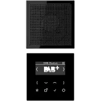 JUNG DABLS1SW Kit DAB+ mono (DAB+ DAB, FM), Radio, Noir