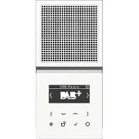 Albrecht Jung GmbH & Co. KG Tuner DAB+ Jung Smart Radio, DAB+