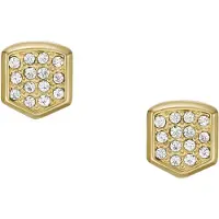Fossil Boucles d'oreilles Heritage, (Acier inoxydable)