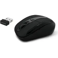 Canyon CNR-MSOW06B - Souris - optique - 6 boutons - sans fil - 2.4 GHz - récepteur sans fil USB - noir