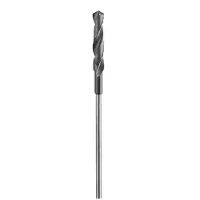 Bosch Powertools PRO Wood Foret d'installation HSS, 22 x 100 x 600 mm, SDS plus