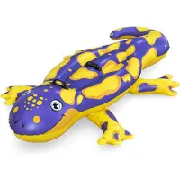 Bestway 41502 Salamander 191x119cm Pool Air Mattres Jaune +3 Years