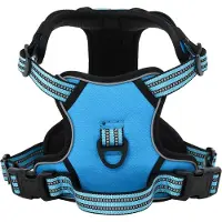 vidaXL Harnais pour chien avec laisse & collier Réglable bleu XL