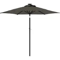 vidaXL Parasol avec LED et mât en acier anthracite 225x225x212 cm