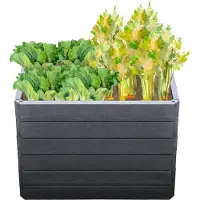 Garantia Lit surélevé classique Garantia ERGO Quadro M 75 avec système d'économie d'eau Flora 80 x 60 x 75
