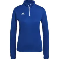 Adidas Entrada 22 Training Sweatshirt Bleu XS / Regular Femme