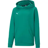 Puma Sweat à Capuche Teamgoal 23 Casuals