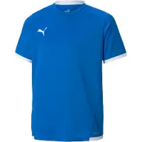 Puma T-Shirt fonctionnel 'TeamLiga' | 152 | boy