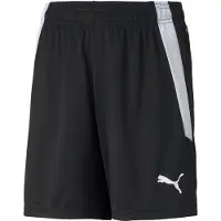 Puma Pantalon Teamliga 70493103