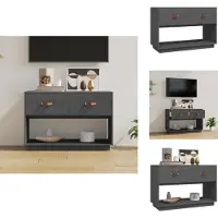 vidaXL Armoire TV Gris 90x40x60 cm Pin massif - Meuble TV