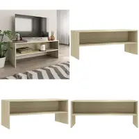 vidaXL Armoire TV Chêne Sonoma 100x40x40 cm Bois composite - Armoire TV - Plateau TV - Tables TV