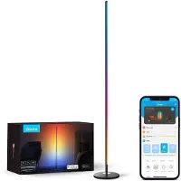 Govee Floor Lamp Basic