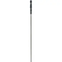 Bosch Powertools PRO Wood Foret d'installation HSS, 18 x 100 x 600 mm