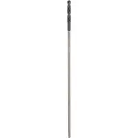 Bosch PRO Wood Foret d'installation HSS, 16 x 100 x 600 mm, SDS plus
