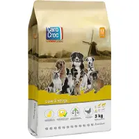 Carocroc Low Energy pour chien
